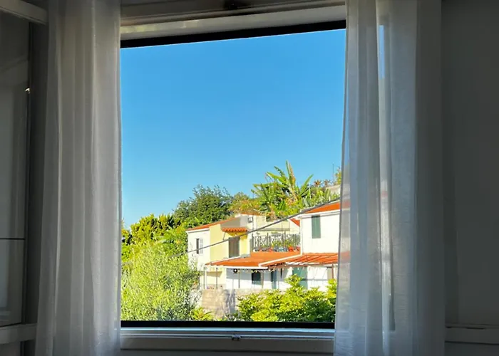 Away From Alloggio in famiglia